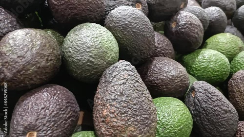Green and ripe avocados in a grocery store photo