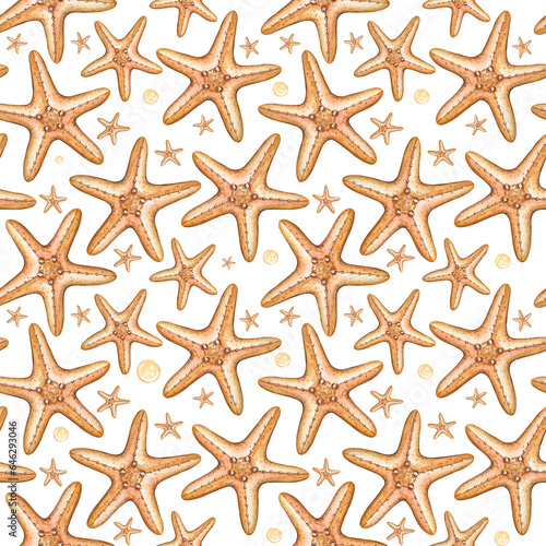 Seamless pattern with watercolor starfish on a white background