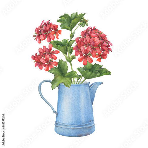 Old blue enamel water pitcher with red flower of garden plant geranium (Pelargonium zonale, zonal geranium, storksbills). Floral botanical hand drawn watercolor painting illustration isolated on white photo