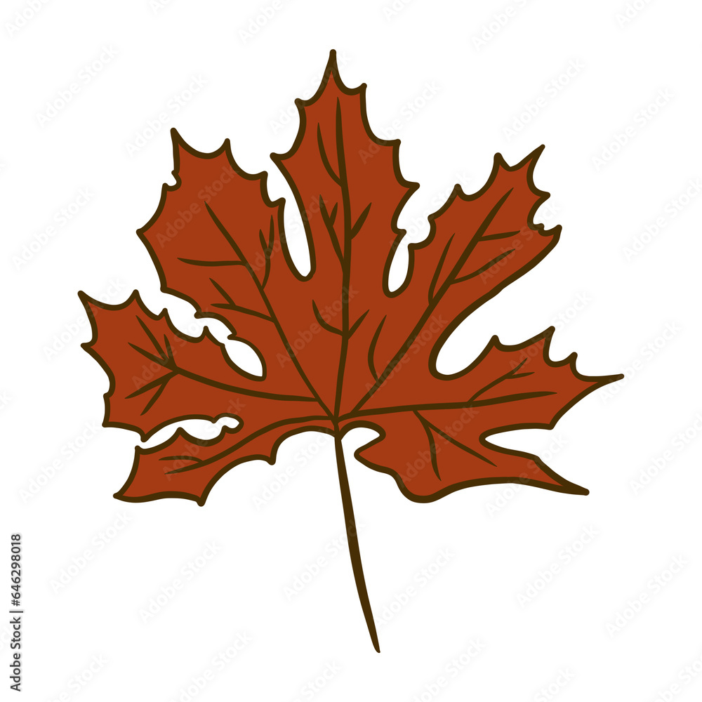 Obraz premium Maple Leaf