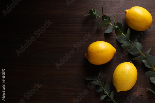 Happy Sukkot festival, a Jewish holiday concept