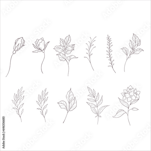 Set of Branches and Leaves. Line Art Illustration.