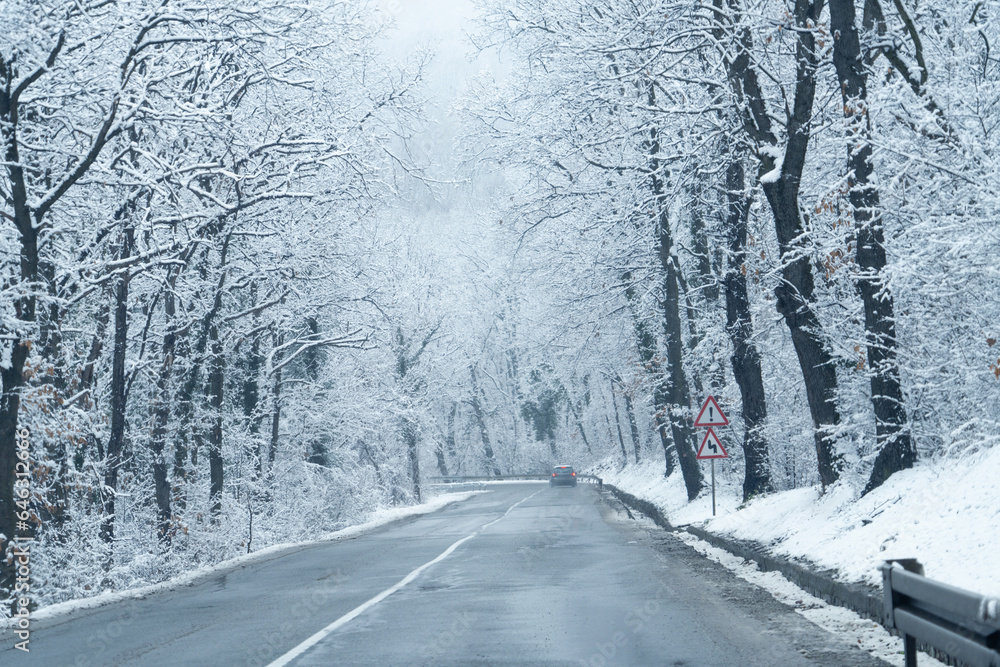 Winter landscape with snow-covered trees and road Winter landscape with snow-covered trees and road
