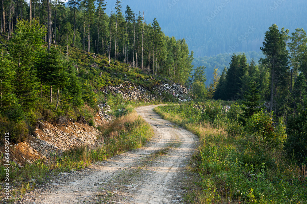 Road in the Carpathian mountains, beautiful landscape view