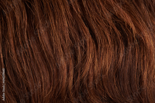 Close-up view of natural shiny hair, bunch of dark .brunette curls background