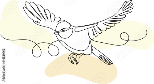 tit flying, sketch, line drawing on a white background vector