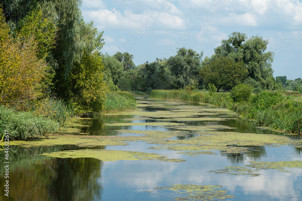 Trubizh River. A river with willows and duckweed on a sunny summer day in the Ukrainian forest-steppe zone. Pereyaslav, Ukraine. Trubizh River. A river with willows and duckweed on a sunny summer day in the Ukrainian forest-steppe zone. Pereyaslav, Ukraine.