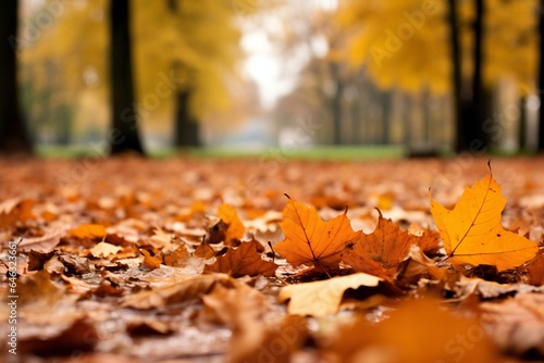 Beautiful autumn background with autumn leaves on the ground Generative AI