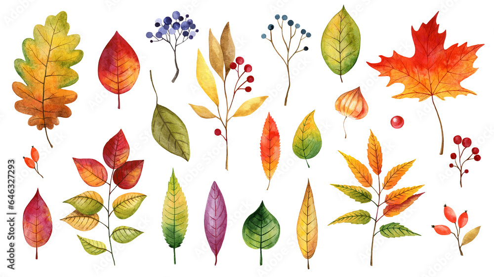 Fototapeta premium Watercolor bright autumn leaves. Hand drawn colorful autumn illustrations of leaves, branches, berries.