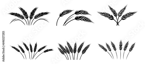 Wheat set ears of wheat logo icon on white background. Vector illustration 