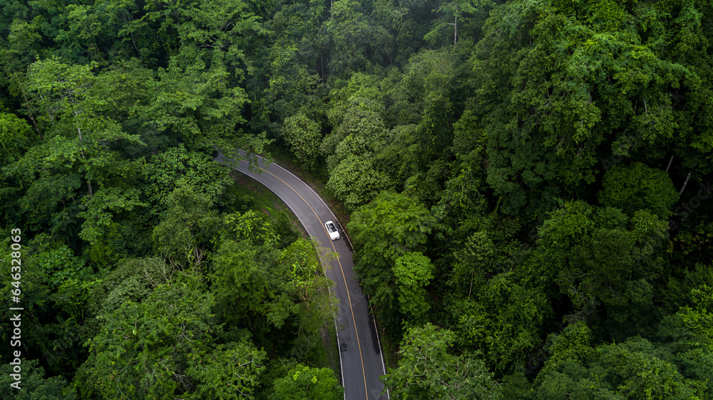 Electric car and EV electrical energy for environment, EV car on forest road with earth planet going through forest, Ecosystem ecology healthy environment, Electric car with nature, Save earth energy.