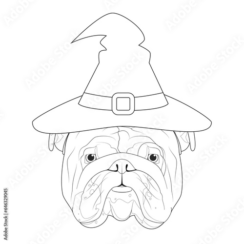 Halloween greeting card for coloring. English Bulldog dog dressed as a witch with black hat