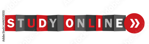 STUDY ONLINE red and gray vector web button