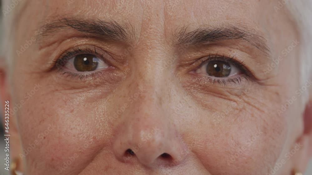 Mature Woman Wrinkled Eyes Looking At Camera Close Up Mature Woman Wrinkled Eyes Looking At Camera Close Up