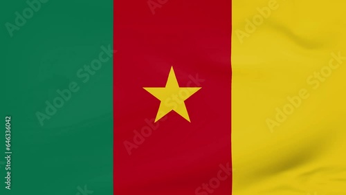 Cameroon flag waving animated background