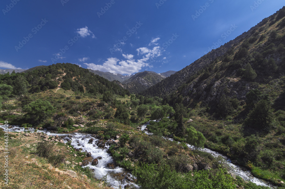 field with mountain rivers in the Tien Shan mountains in Kazakhstan in summer. Kaskasu Gorge