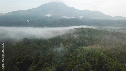 Following a bird early morning in Kerala, India