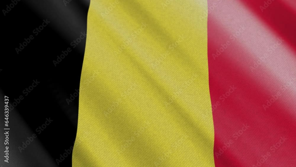 The Kingdom Of Belgium Flag Animation The Kingdom Of Belgium Flag Animation