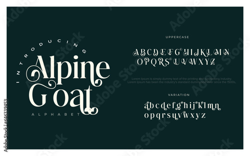 Classic typography serif font. Uppercase, lowercase, ligatures, ampersand, alternate, and number. Vector illustration word. Lettering Minimal Fashion Designs Romance Elegant