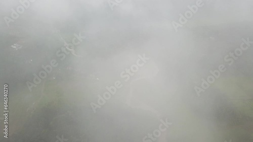 Forest streams through clouds in the morning