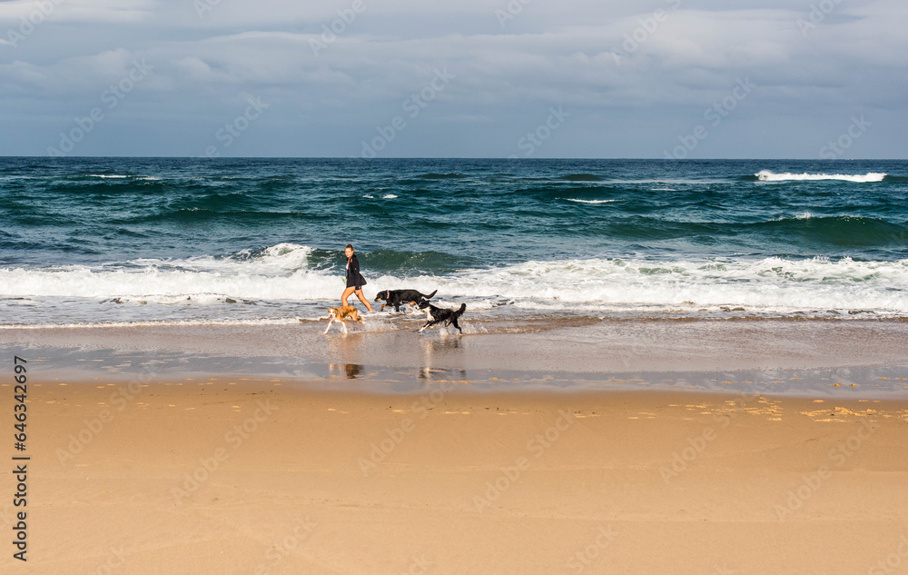 Young woman walking on the ocean beach with her dogs
