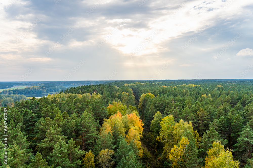 A view from above of the autumn forest and the sky with clouds before sunset in autumn. Deciduous and coniferous trees of yellow and green color under the evening sky
