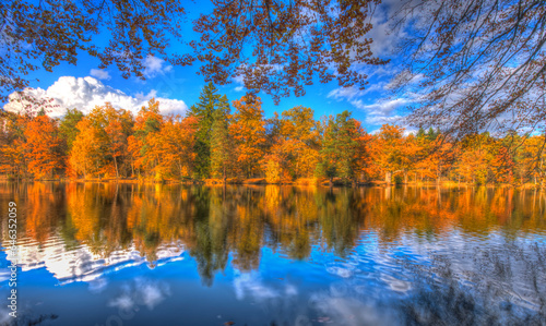 autumn trees in the lake