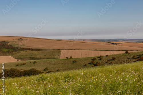 Looking out over a South Downs late summer landscape, with a blue sky overhead