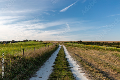 Looking along a chalk pathway in Sussex on a sunny summer s evening