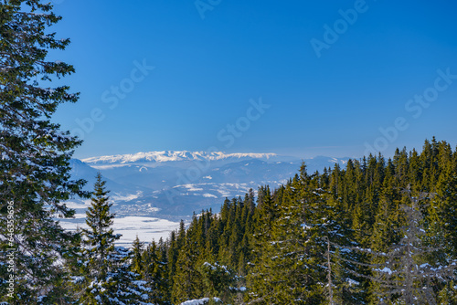 View from the Postavaru mountains (Brasov, Romania) to the Fagaras mountains. Hiking above the clouds. Majestic nature scenery with snowy mountains in background