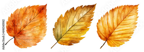 Set of artistic watercolor style autumn leaves isolated on white background. Fall nature elements.