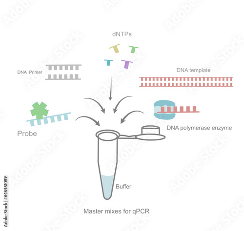 The master mixes for real time PCR reaction in a test tube that shows the important component: DNA Primer, Probe, DNA template, Polymerase enzyme, dNTPs and buffer.