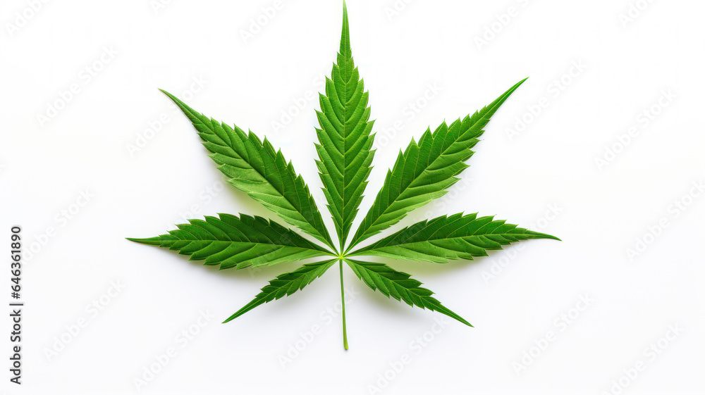 Minimalist Cannabis Leaf on White Background Minimalist Cannabis Leaf on White Background