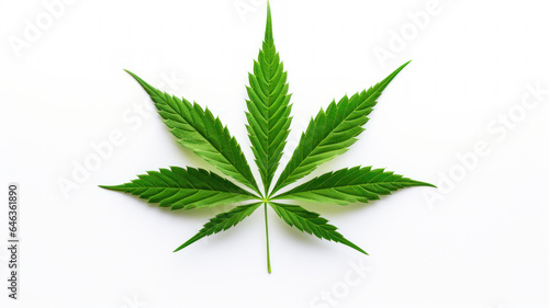 Minimalist Cannabis Leaf on White Background
