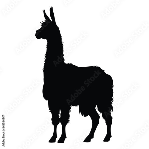 Llama Silhouette on White