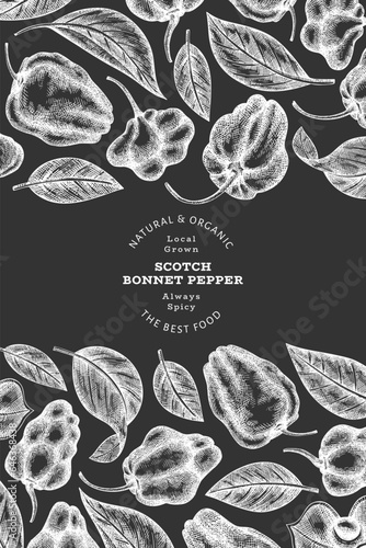 Hand drawn sketch style scotch bonnet pepper banner. Organic fresh vegetable vector illustration on chalk board. Retro cayenne pepper design template
