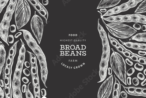 Hand drawn broad beans design template. Organic fresh food vector illustration on chalk board. Retro pods illustration. Botanical style cereal background.