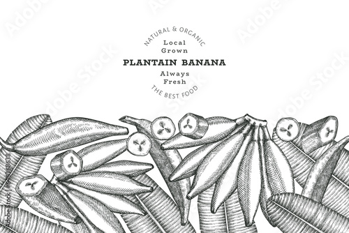 Hand drawn sketch style plantain banner. Organic fresh fruit vector illustration. Retro exotic banana fruit design template