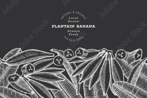 Hand drawn sketch style plantain banner. Organic fresh fruit vector illustration on chalk board. Retro exotic banana fruit design template