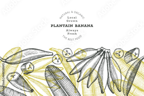 Hand drawn sketch style plantain banner. Organic fresh fruit vector illustration. Retro exotic banana fruit design template