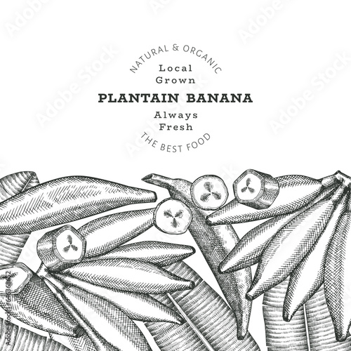Hand drawn sketch style plantain banner. Organic fresh fruit vector illustration. Retro exotic banana fruit design template