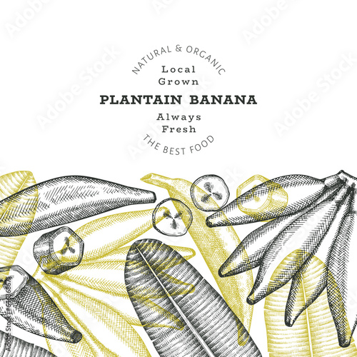 Hand drawn sketch style plantain banner. Organic fresh fruit vector illustration. Retro exotic banana fruit design template