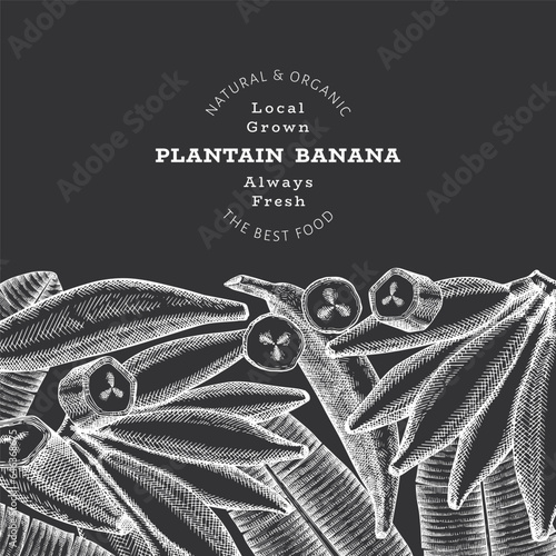 Hand drawn sketch style plantain banner. Organic fresh fruit vector illustration on chalk board. Retro exotic banana fruit design template