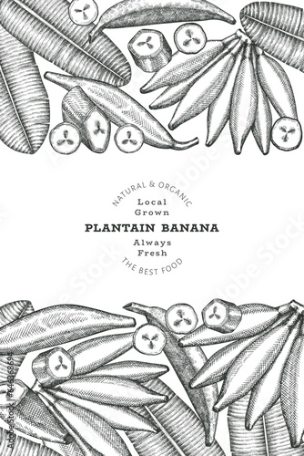 Hand drawn sketch style plantain banner. Organic fresh fruit vector illustration. Retro exotic banana fruit design template