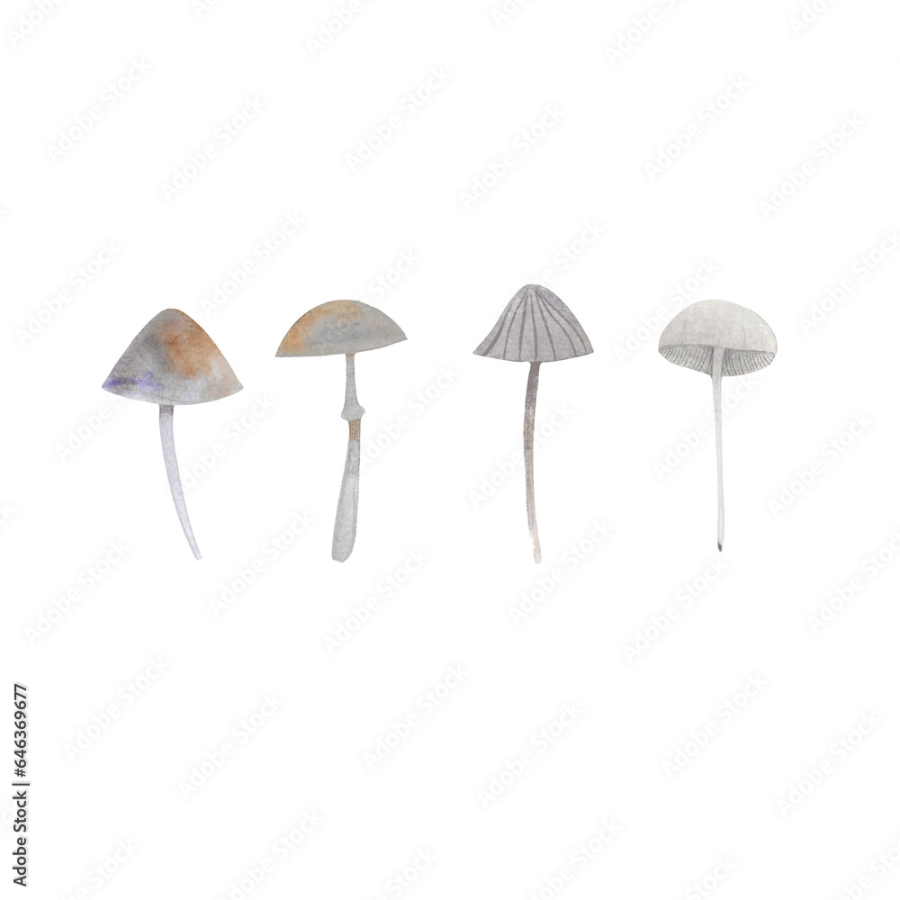 Obraz premium mushrooms painted by watercolor, isolated illustration of mushrooms