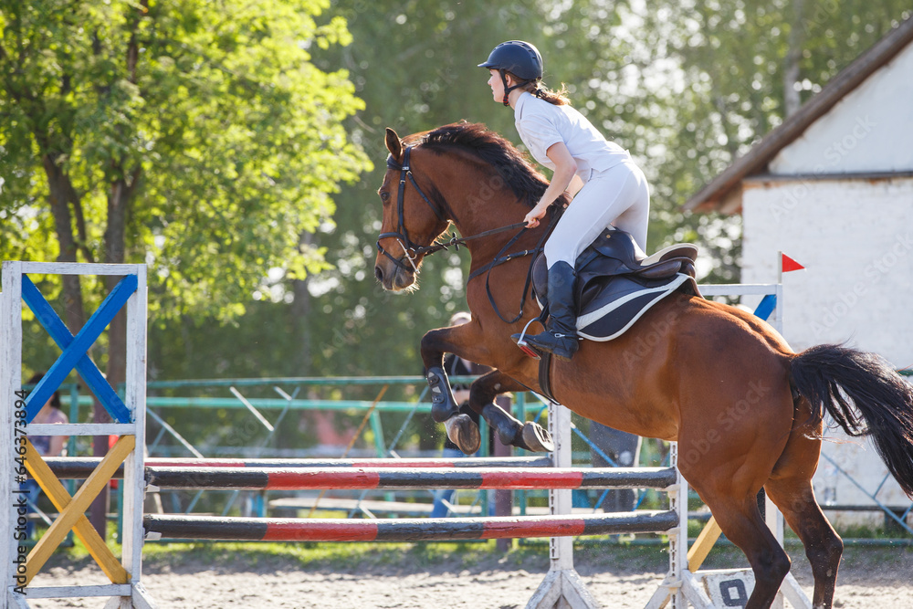 Young rider horseback woman jumping over the hurdle in showjumping competition Young rider horseback woman jumping over the hurdle in showjumping competition