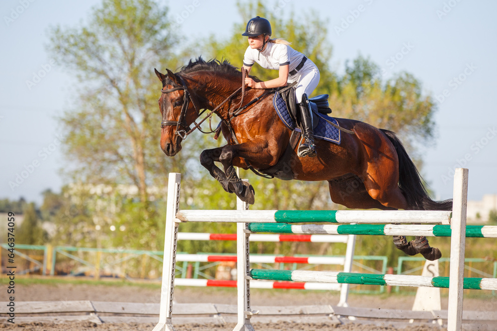 Young horseriding woman jumping over the obstacle on her showjumping course