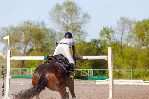 Unobediance of the horse in show jumping competition