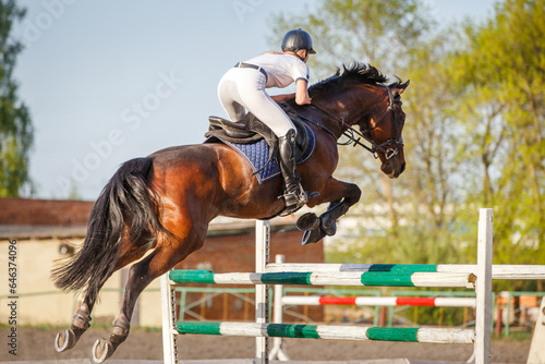 Young horseriding woman jumping over the obstacle on her showjumping course