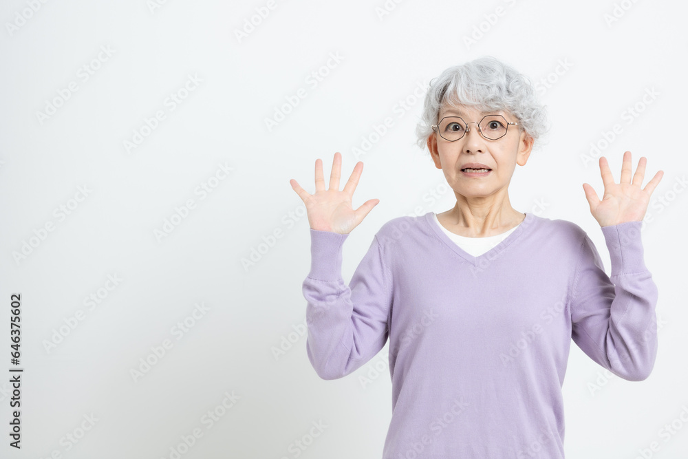 日本人シニア女性 日本人シニア女性